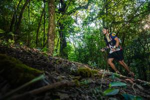 BIB: 222
                            <button type="button" onclick="openModal(16015323)" class="btn btn-primary btn-sm float-right btn-popup" data-toggle="modal" data-target=".modal-high-quality">
                        <i class="fas fa-shopping-cart"></i> Add to Cart
                    </button>
                                            <button type="button" onclick="isThisMe(16015323, true)" class="btn btn-success btn-sm float-right btn-popup btn-isme hidden" data-toggle="tooltip" data-placement="bottom" title="นี่คือรูปของคุณใช่ไหม คลิกที่นี่เพื่อเอาเข้าอัลบั้ม">
                        <i class="fas fa-plus"></i> Add to album
                    </button>
                    <button type="button" onclick="isThisMe(16015323, false)" class="btn btn-warning btn-sm float-right btn-popup btn-isnotme hidden">
                        <i class="fas fa-ban"></i> Remove from album
                    </button>